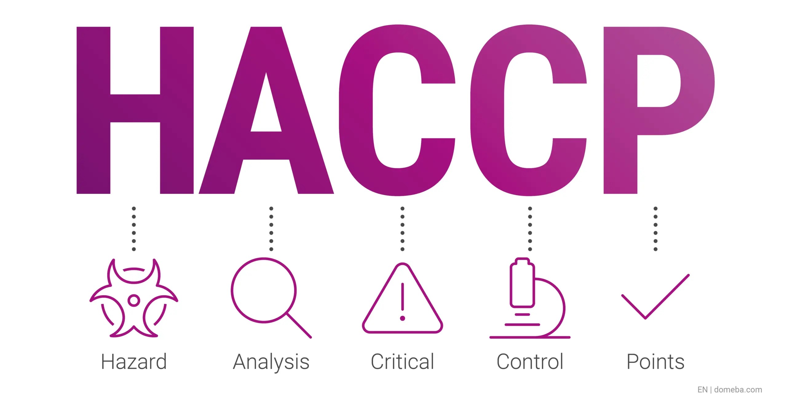 Higiene E Segurança Alimentar - HACCP